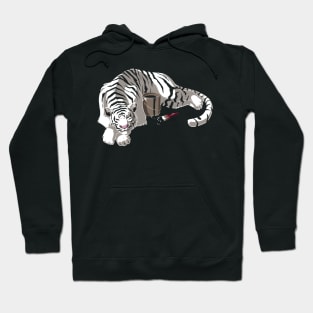 Changing Stripes Hoodie